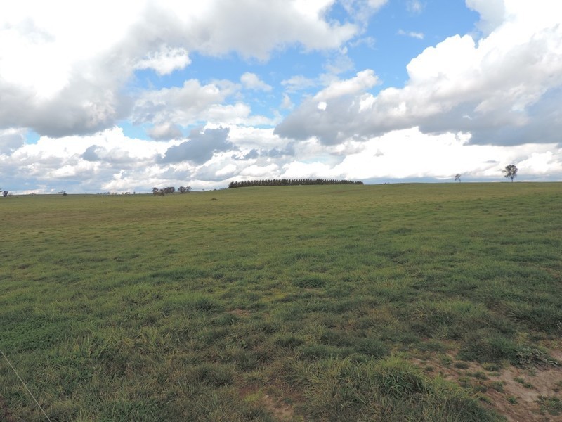 2851 Gunning Road, Grabben Gullen NSW 2583