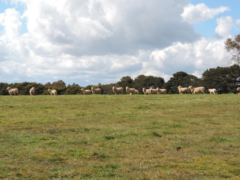 2851 Gunning Road, Grabben Gullen NSW 2583