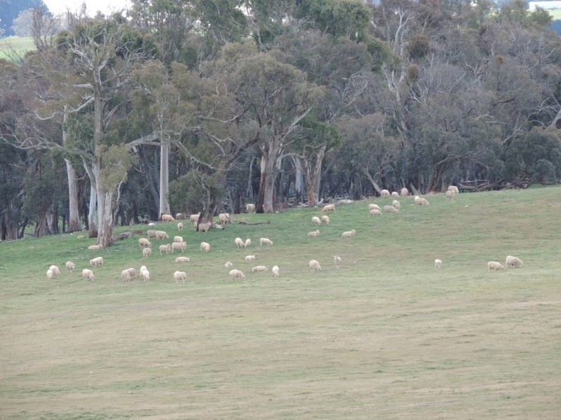 2851 Gunning Road, Grabben Gullen NSW 2583