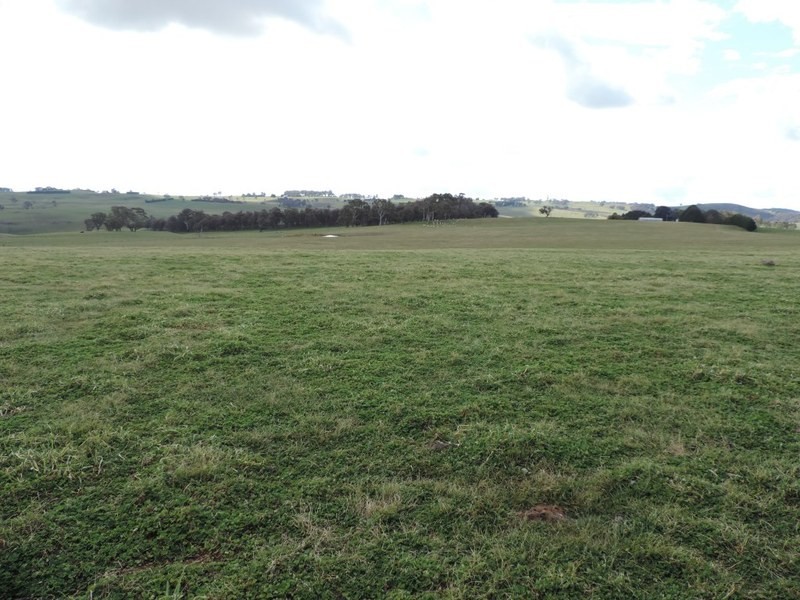 2851 Gunning Road, Grabben Gullen NSW 2583