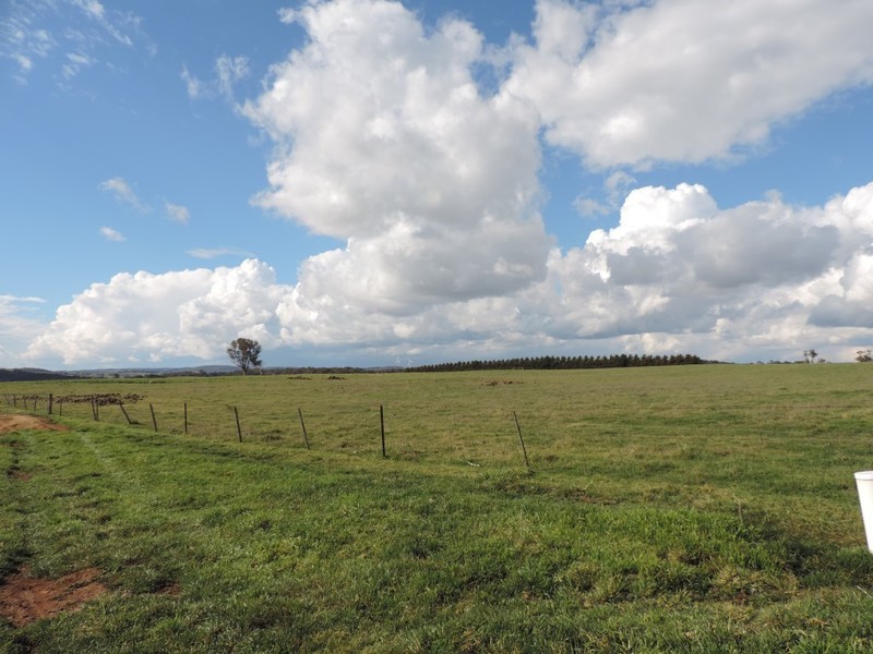 2851 Gunning Road, Grabben Gullen NSW 2583