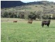 Greenmantle Valley Greenmantle Road, Bigga NSW 2583