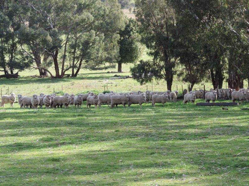 Greenmantle Valley Greenmantle Road, Bigga NSW 2583