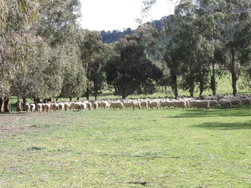 Greenmantle Valley Greenmantle Road, Bigga NSW 2583