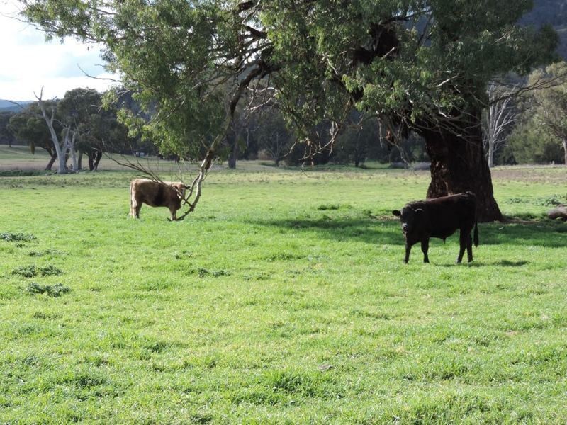 Greenmantle Valley Greenmantle Road, Bigga NSW 2583