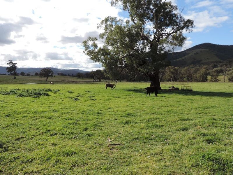 Greenmantle Valley Greenmantle Road, Bigga NSW 2583