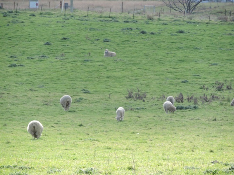 Greenmantle Valley Greenmantle Road, Bigga NSW 2583