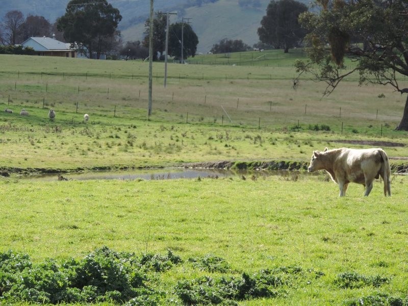 Greenmantle Valley Greenmantle Road, Bigga NSW 2583