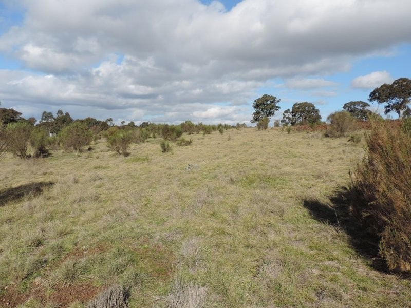 Lot 11 Range Road, Bannister NSW 2580