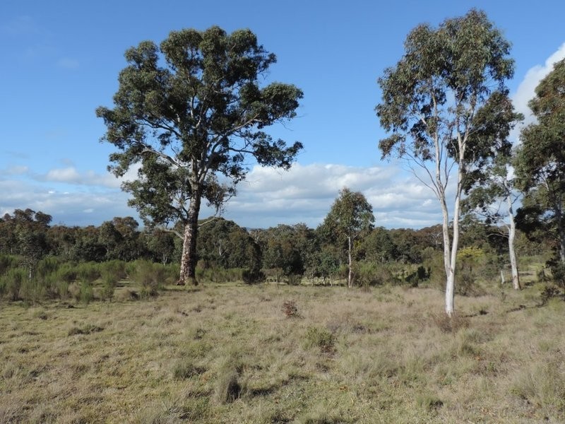 Lot 11 Range Road, Bannister NSW 2580