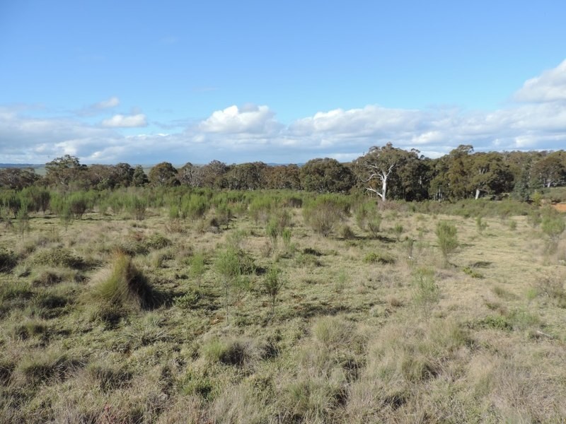 Lot 11 Range Road, Bannister NSW 2580