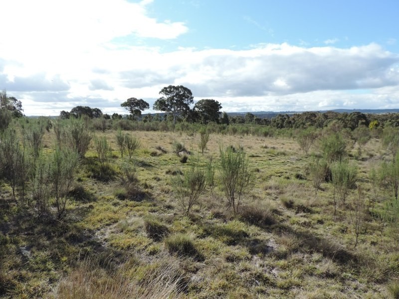 Lot 11 Range Road, Bannister NSW 2580