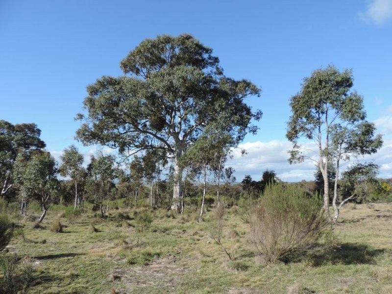 Lot 11 Range Road, Bannister NSW 2580