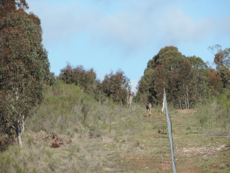 Lot 11 Range Road, Bannister NSW 2580