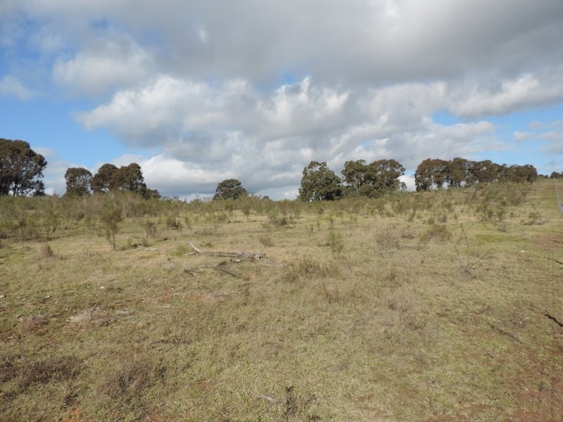 Lot 11 Range Road, Bannister NSW 2580