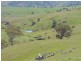 832 Levels Road, Golspie NSW 2580