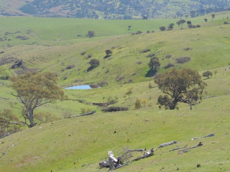 832 Levels Road, Golspie NSW 2580