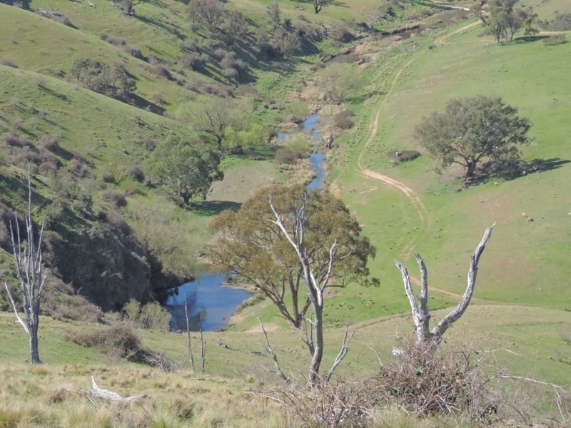 832 Levels Road, Golspie NSW 2580