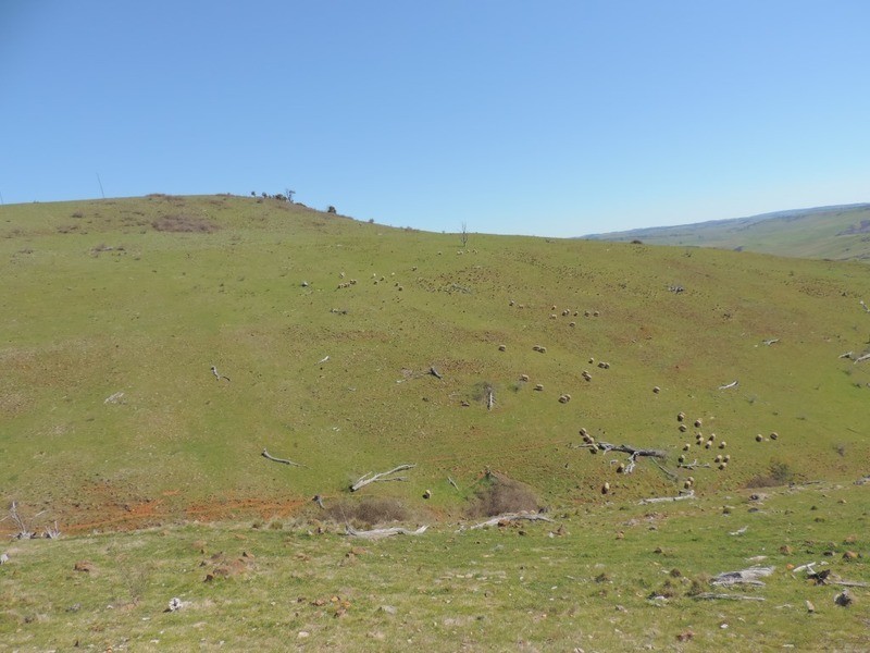 832 Levels Road, Golspie NSW 2580