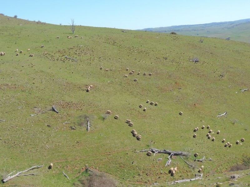 832 Levels Road, Golspie NSW 2580