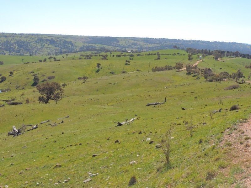 832 Levels Road, Golspie NSW 2580