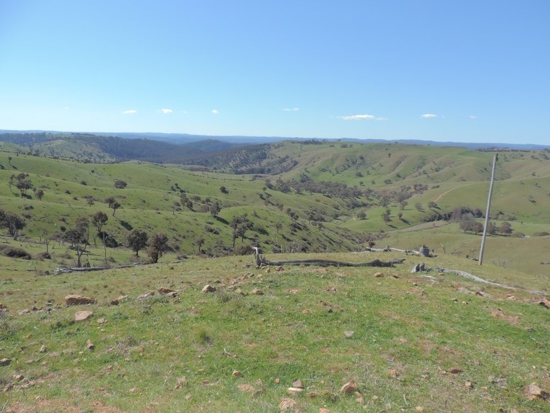 832 Levels Road, Golspie NSW 2580