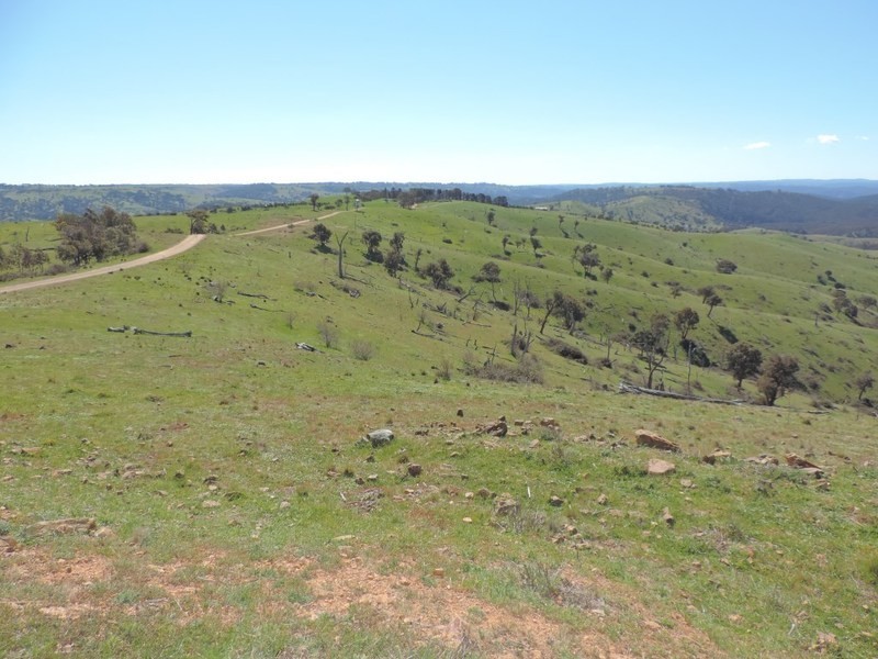 832 Levels Road, Golspie NSW 2580