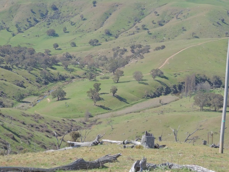 832 Levels Road, Golspie NSW 2580