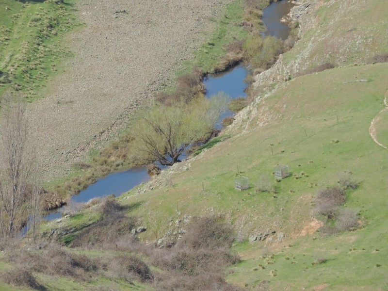 832 Levels Road, Golspie NSW 2580