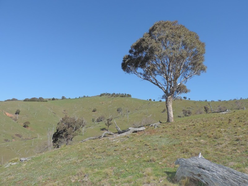 832 Levels Road, Golspie NSW 2580