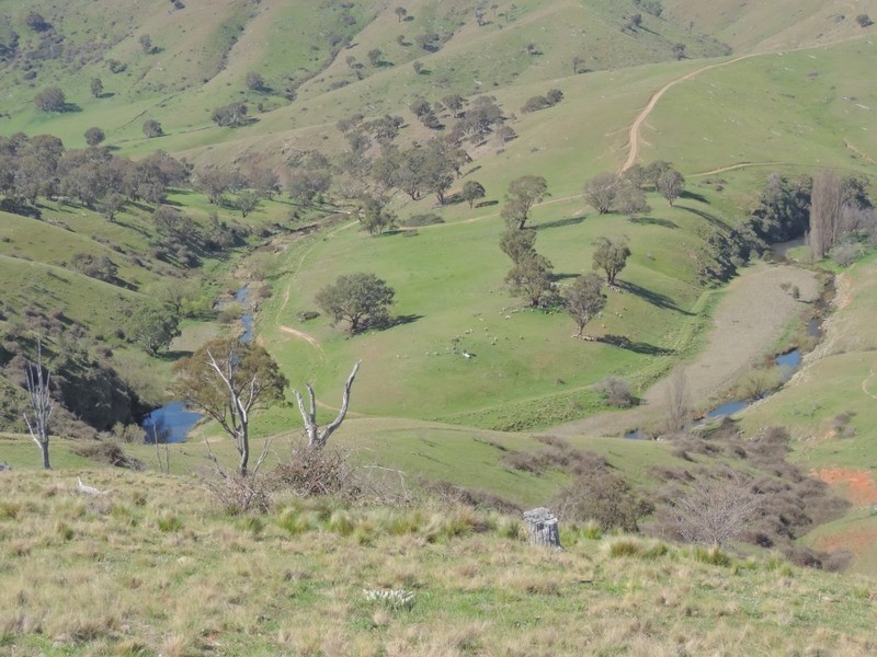 832 Levels Road, Golspie NSW 2580