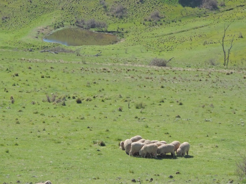 832 Levels Road, Golspie NSW 2580