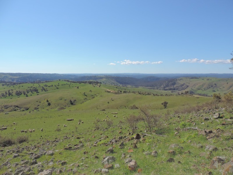 832 Levels Road, Golspie NSW 2580