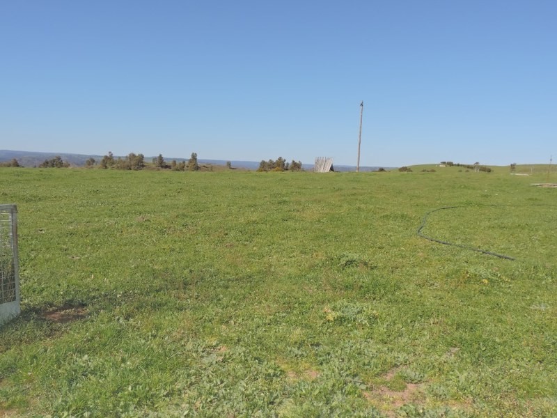 832 Levels Road, Golspie NSW 2580