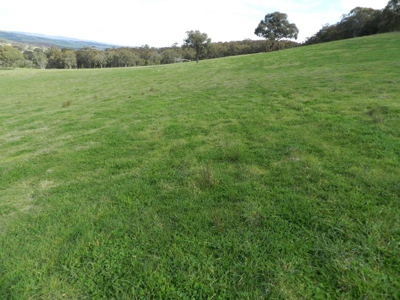 Lot 2 Mullins Creek Road, Breadalbane NSW 2581