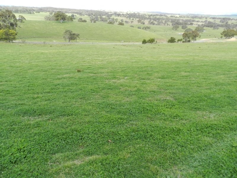 Lot 2 Mullins Creek Road, Breadalbane NSW 2581