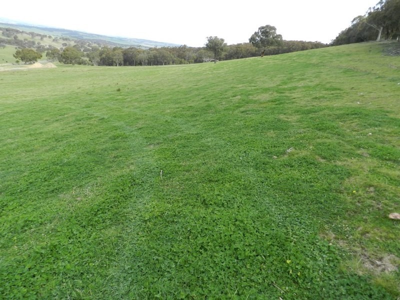 Lot 2 Mullins Creek Road, Breadalbane NSW 2581