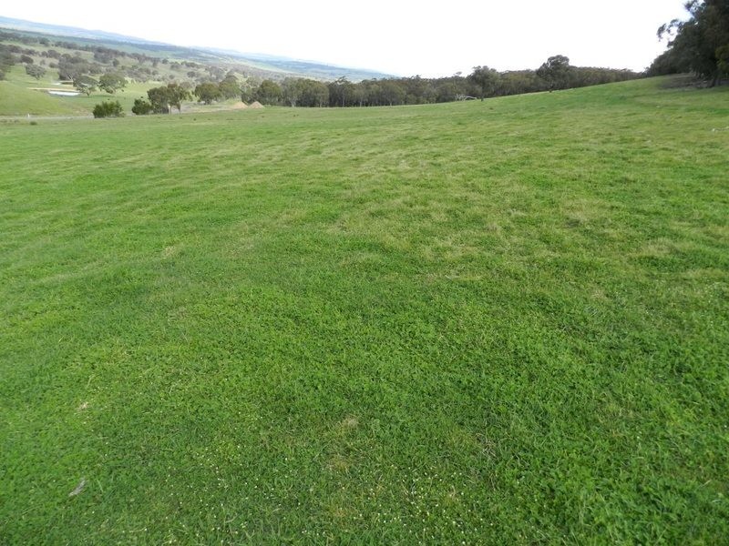 Lot 2 Mullins Creek Road, Breadalbane NSW 2581