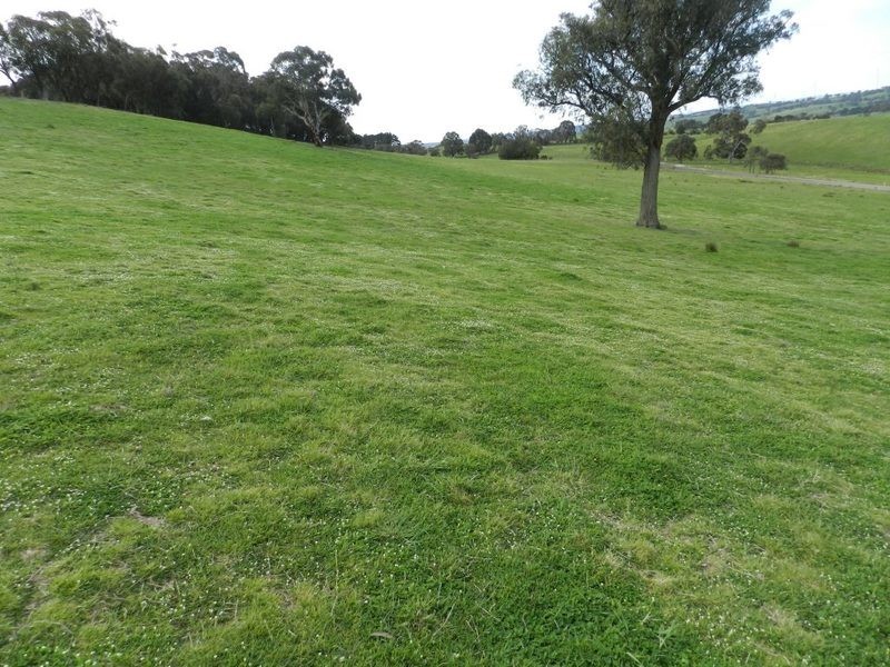 Lot 2 Mullins Creek Road, Breadalbane NSW 2581