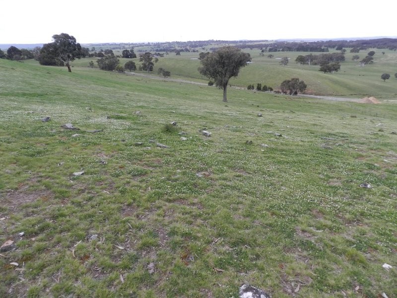 Lot 2 Mullins Creek Road, Breadalbane NSW 2581