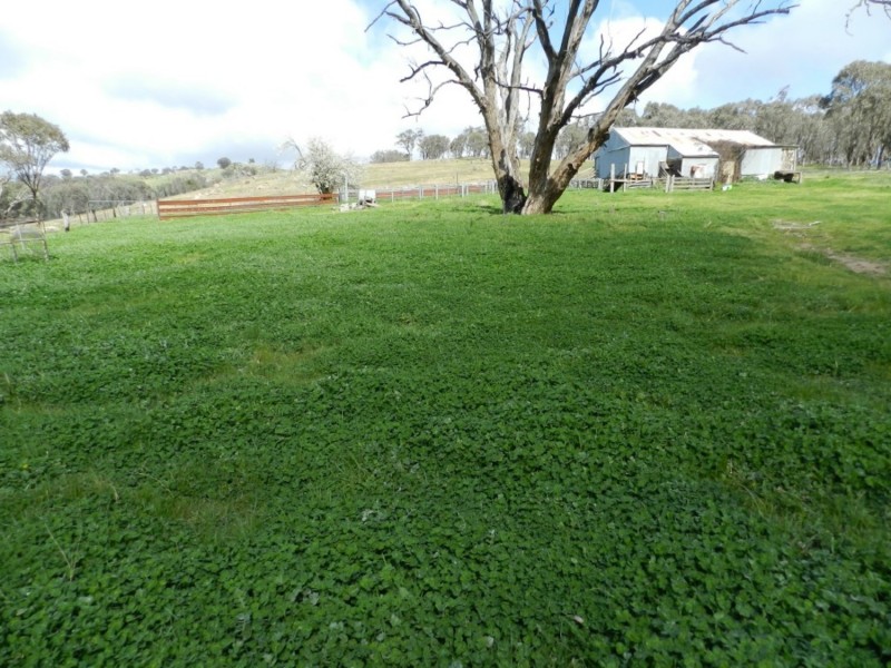 Lot 84 Greenmantle Road, Bigga NSW 2583