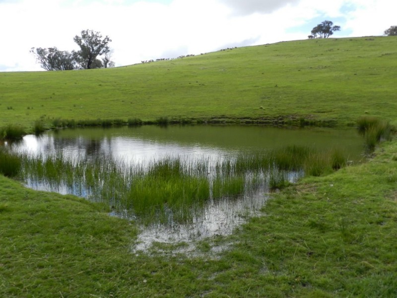 Lot 84 Greenmantle Road, Bigga NSW 2583