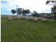 Lot 84 Greenmantle Road, Bigga NSW 2583