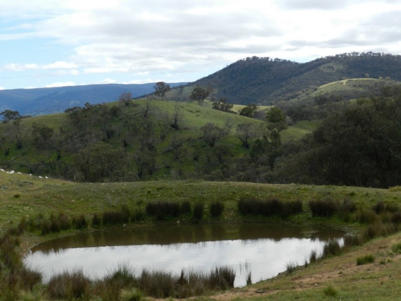 Lot 84 Greenmantle Road, Bigga NSW 2583