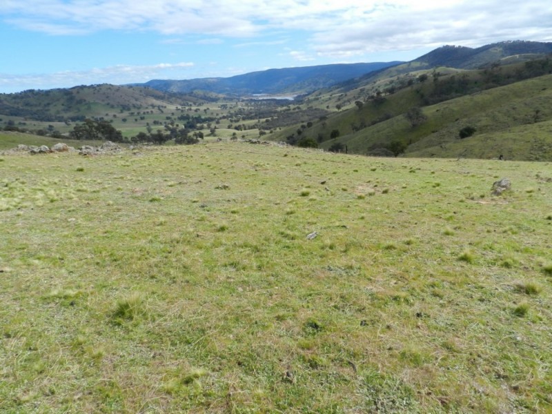 Lot 84 Greenmantle Road, Bigga NSW 2583