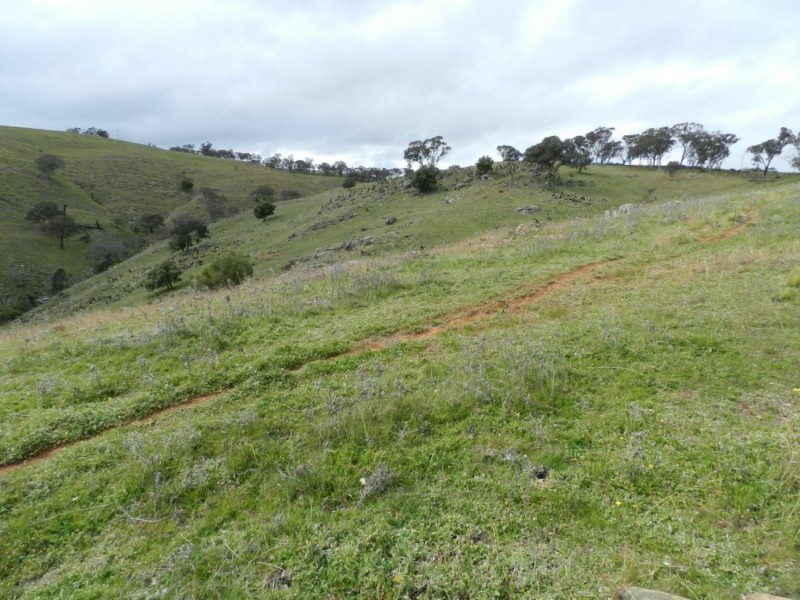 Lot 84 Greenmantle Road, Bigga NSW 2583