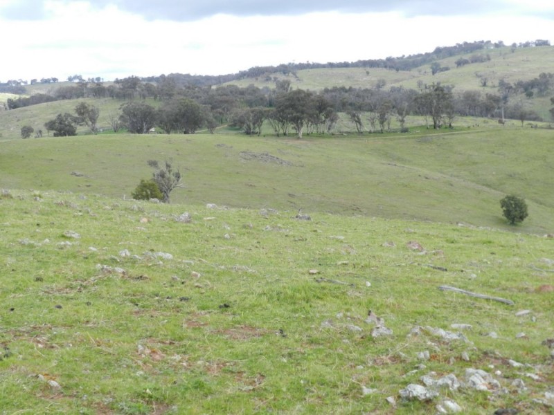 Lot 84 Greenmantle Road, Bigga NSW 2583