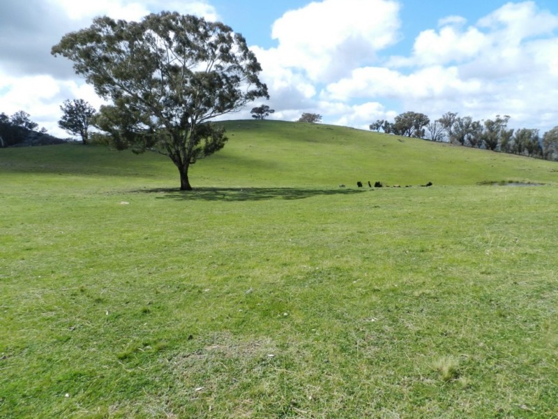 Lot 84 Greenmantle Road, Bigga NSW 2583