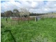 Lot 84 Greenmantle Road, Bigga NSW 2583