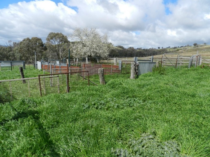 Lot 84 Greenmantle Road, Bigga NSW 2583